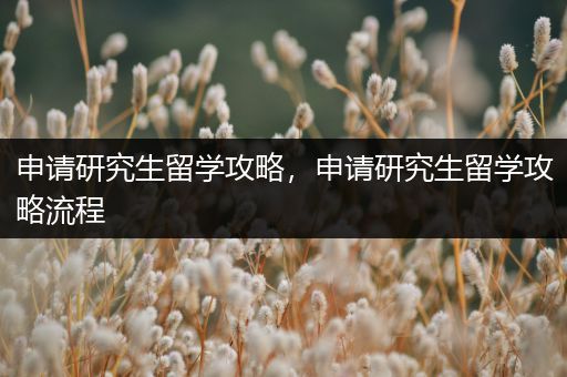 申请研究生留学攻略，申请研究生留学攻略流程