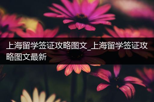 上海留学签证攻略图文_上海留学签证攻略图文最新