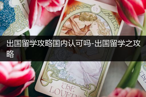 出国留学攻略国内认可吗-出国留学之攻略