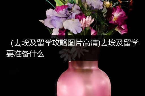 （去埃及留学攻略图片高清)去埃及留学要准备什么