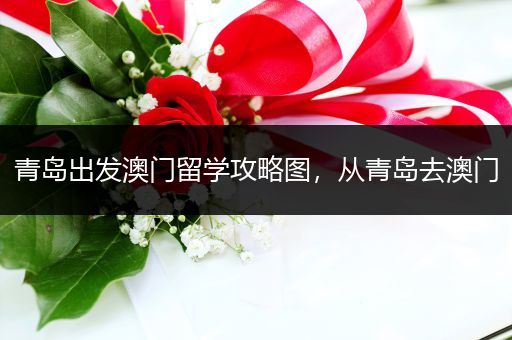 青岛出发澳门留学攻略图，从青岛去澳门
