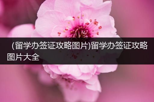 （留学办签证攻略图片)留学办签证攻略图片大全