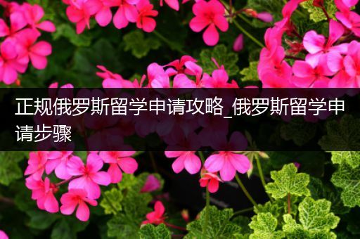 正规俄罗斯留学申请攻略_俄罗斯留学申请步骤
