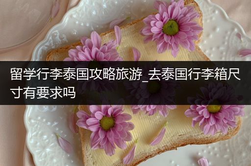 留学行李泰国攻略旅游_去泰国行李箱尺寸有要求吗