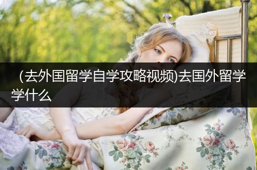 （去外国留学自学攻略视频)去国外留学学什么