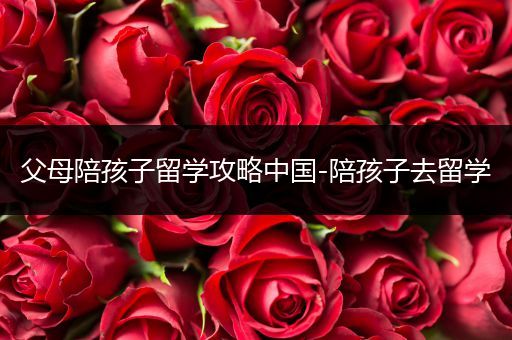 父母陪孩子留学攻略中国-陪孩子去留学
