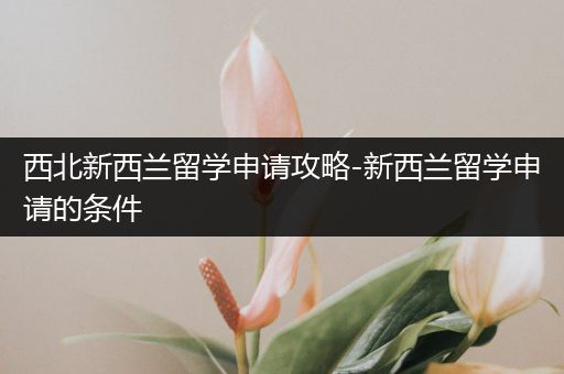 西北新西兰留学申请攻略-新西兰留学申请的条件