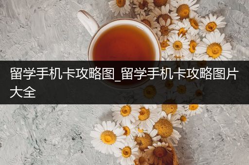 留学手机卡攻略图_留学手机卡攻略图片大全