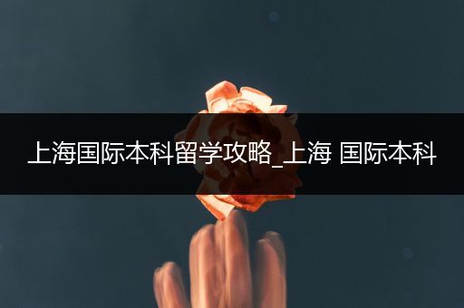 上海国际本科留学攻略_上海 国际本科