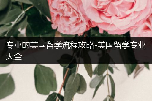 专业的美国留学流程攻略-美国留学专业大全