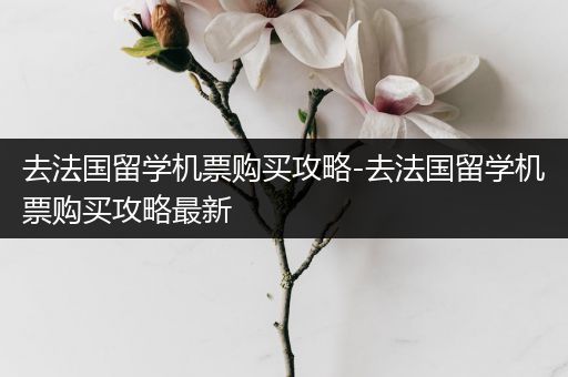 去法国留学机票购买攻略-去法国留学机票购买攻略最新