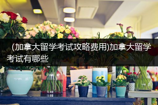 （加拿大留学考试攻略费用)加拿大留学考试有哪些