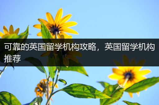 可靠的英国留学机构攻略，英国留学机构推荐