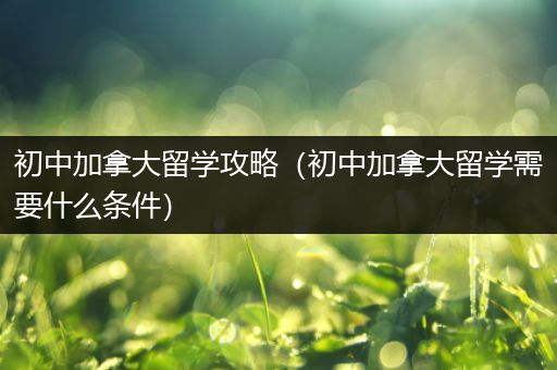 初中加拿大留学攻略（初中加拿大留学需要什么条件）