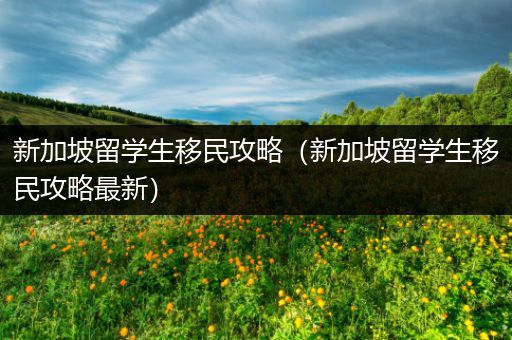 新加坡留学生移民攻略（新加坡留学生移民攻略最新）