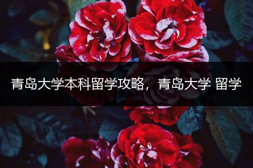 青岛大学本科留学攻略，青岛大学 留学