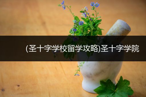 （圣十字学校留学攻略)圣十字学院