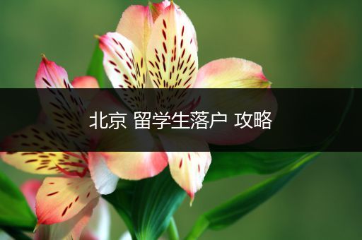 北京 留学生落户 攻略