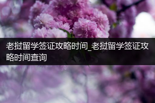 老挝留学签证攻略时间_老挝留学签证攻略时间查询
