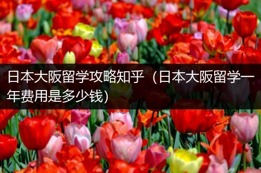 日本大阪留学攻略知乎（日本大阪留学一年费用是多少钱）