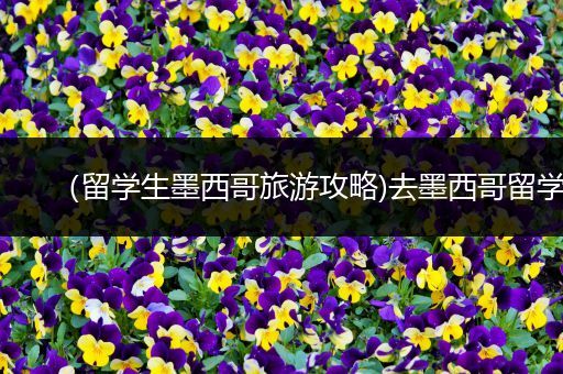 （留学生墨西哥旅游攻略)去墨西哥留学