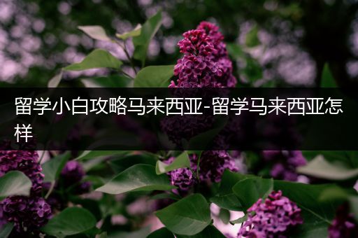留学小白攻略马来西亚-留学马来西亚怎样