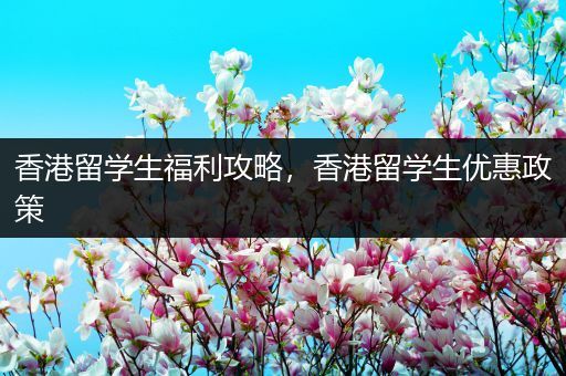 香港留学生福利攻略，香港留学生优惠政策