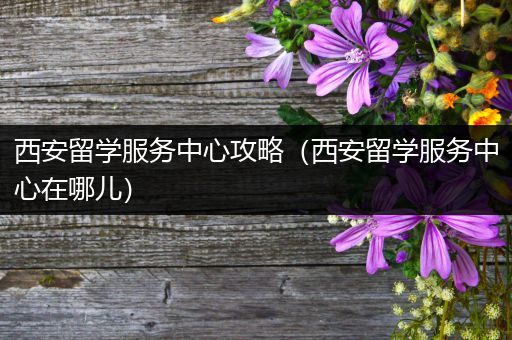 西安留学服务中心攻略（西安留学服务中心在哪儿）