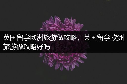 英国留学欧洲旅游做攻略，英国留学欧洲旅游做攻略好吗