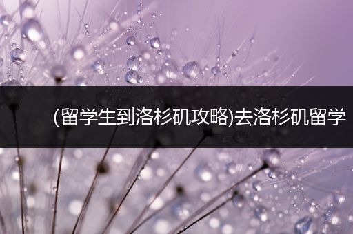 （留学生到洛杉矶攻略)去洛杉矶留学