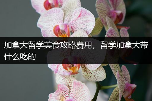 加拿大留学美食攻略费用，留学加拿大带什么吃的