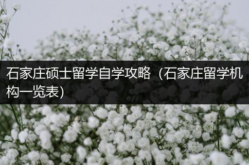 石家庄硕士留学自学攻略（石家庄留学机构一览表）