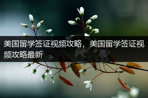 美国留学签证视频攻略，美国留学签证视频攻略最新