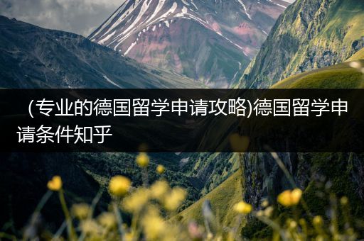 （专业的德国留学申请攻略)德国留学申请条件知乎