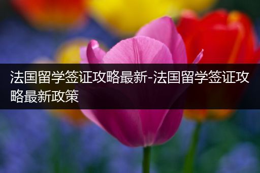 法国留学签证攻略最新-法国留学签证攻略最新政策