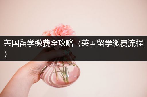 英国留学缴费全攻略（英国留学缴费流程）