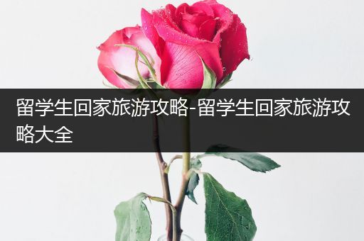 留学生回家旅游攻略-留学生回家旅游攻略大全
