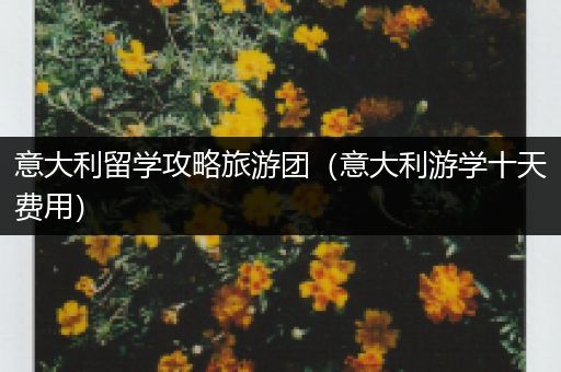 意大利留学攻略旅游团（意大利游学十天费用）