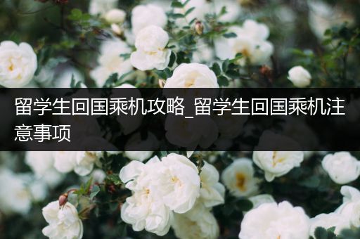 留学生回国乘机攻略_留学生回国乘机注意事项