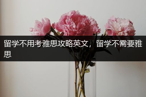 留学不用考雅思攻略英文，留学不需要雅思