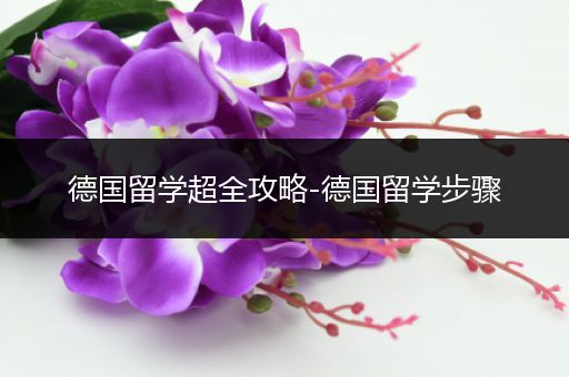 德国留学超全攻略-德国留学步骤