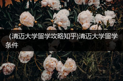 （清迈大学留学攻略知乎)清迈大学留学条件