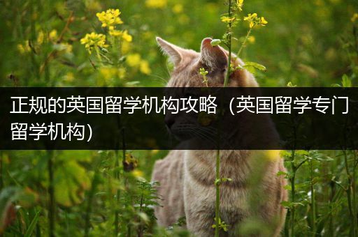 正规的英国留学机构攻略（英国留学专门留学机构）