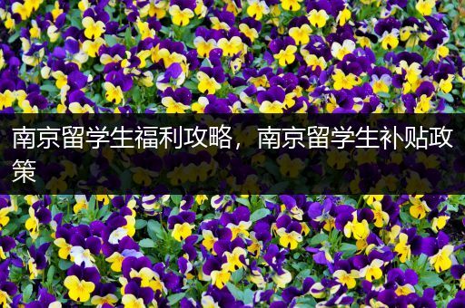 南京留学生福利攻略，南京留学生补贴政策