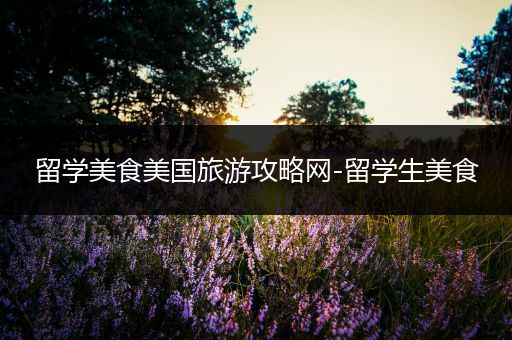 留学美食美国旅游攻略网-留学生美食