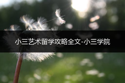 小三艺术留学攻略全文-小三学院