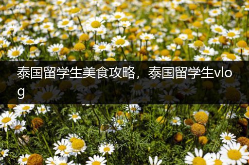 泰国留学生美食攻略，泰国留学生vlog