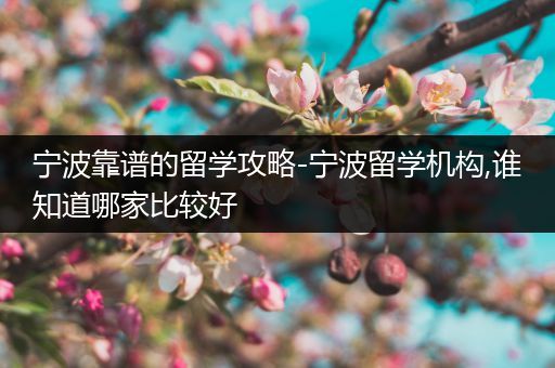 宁波靠谱的留学攻略-宁波留学机构,谁知道哪家比较好