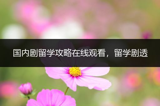 国内剧留学攻略在线观看，留学剧透