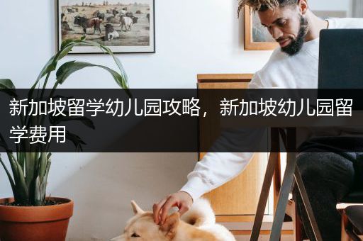 新加坡留学幼儿园攻略，新加坡幼儿园留学费用